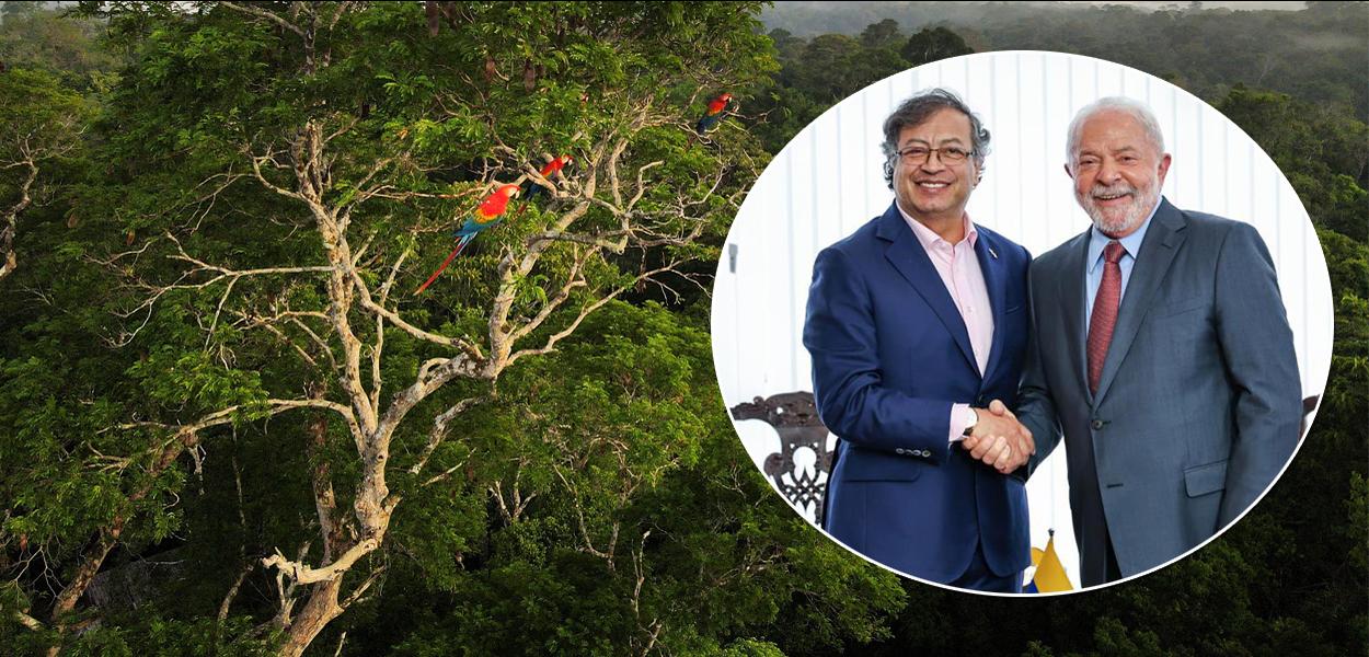 Presidentes Gustavo Petro, da Colômbia, e Luiz Inácio Lula da Silva (os dois em círculo) e a Amazônia ao fundo