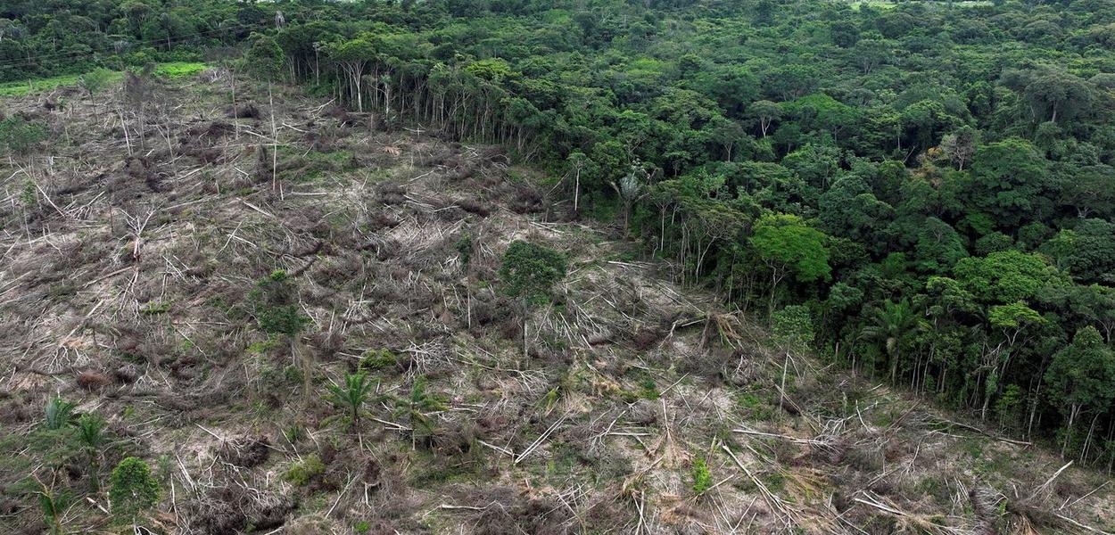 Vista de drone mostra área desmatada na Amazônia, em Uruará, Brasil - 21/01/2023